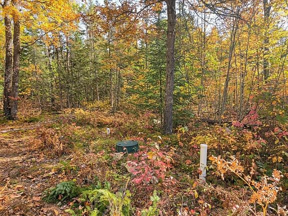 5th image of W10976 Woods Rd