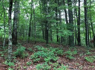 LT 24 Wild Acres Rd, Blairsville, GA 30512