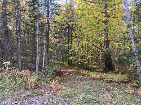 Lot 33.1 Maple Street, Bethlehem, NH 03574
