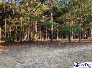 3291 Hunts Mill Rd, Chesterfield, SC 29709