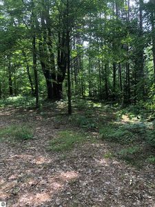 Holmes St, Manton, MI, 49663