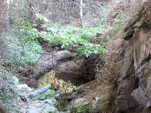 Year Round Creek on Property