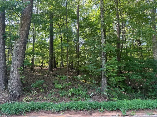 0 Bear Creek Rd #3, Blacksburg, SC 29702