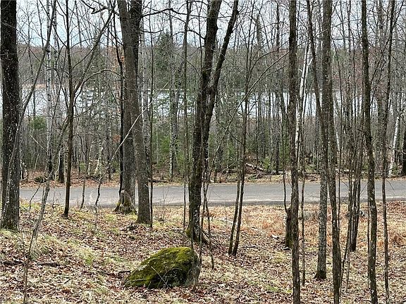 2nd image of Lot 2 W River Road