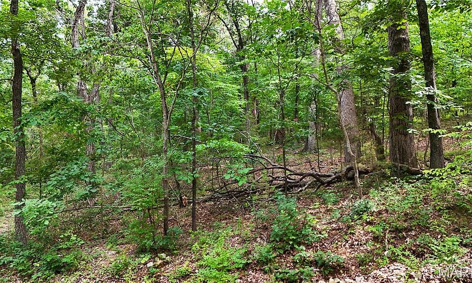 1st image of 9576 Bent Tree Dr
