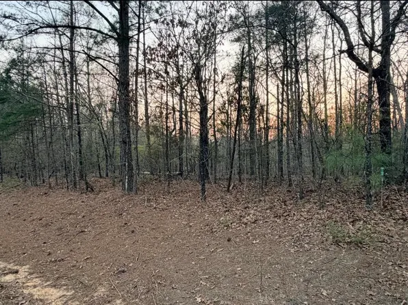 0 County Road 436, Hamilton, AL 35570