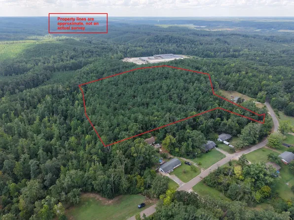 0 Preacher Dr, Counce, TN 38326
