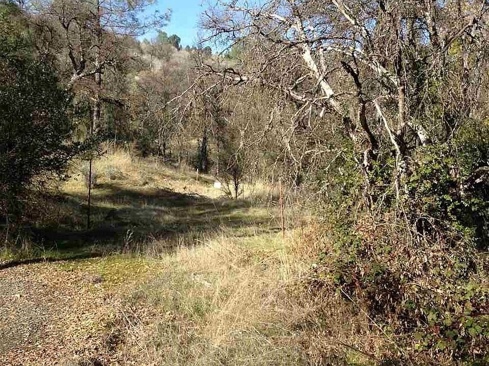 1st image of 4 Caylor Par 4