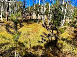 171 Indian Creek Rd, Florissant, CO 80816