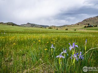 816 Meadow Way, Livermore, CO 80536