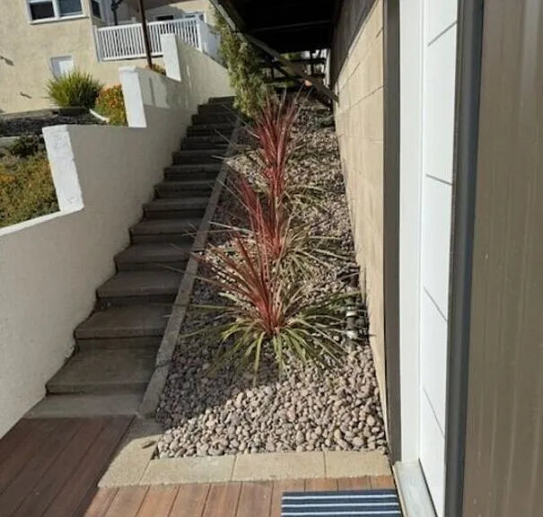 1433 Silvius Ave — Photo 3