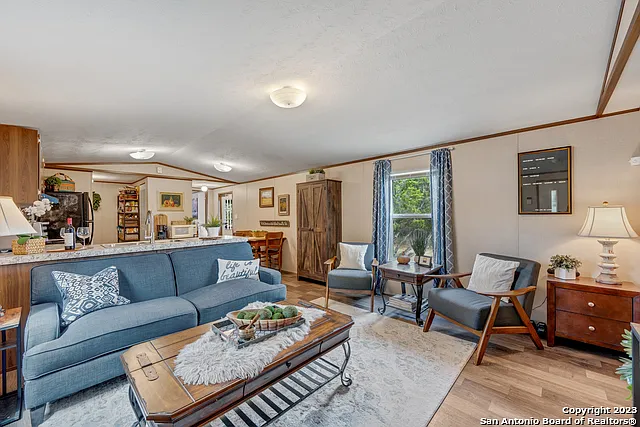 10450 Rebecca Creek Rd — Photo 3