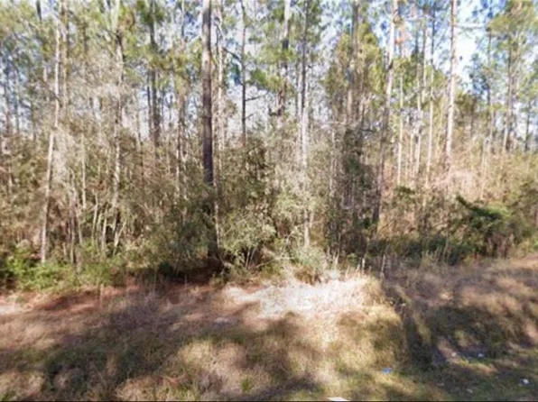 Bobby Jones Blvd, Abita Springs, LA 70420