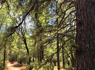 22210 Fiddletown Rd, Fiddletown, CA 95629