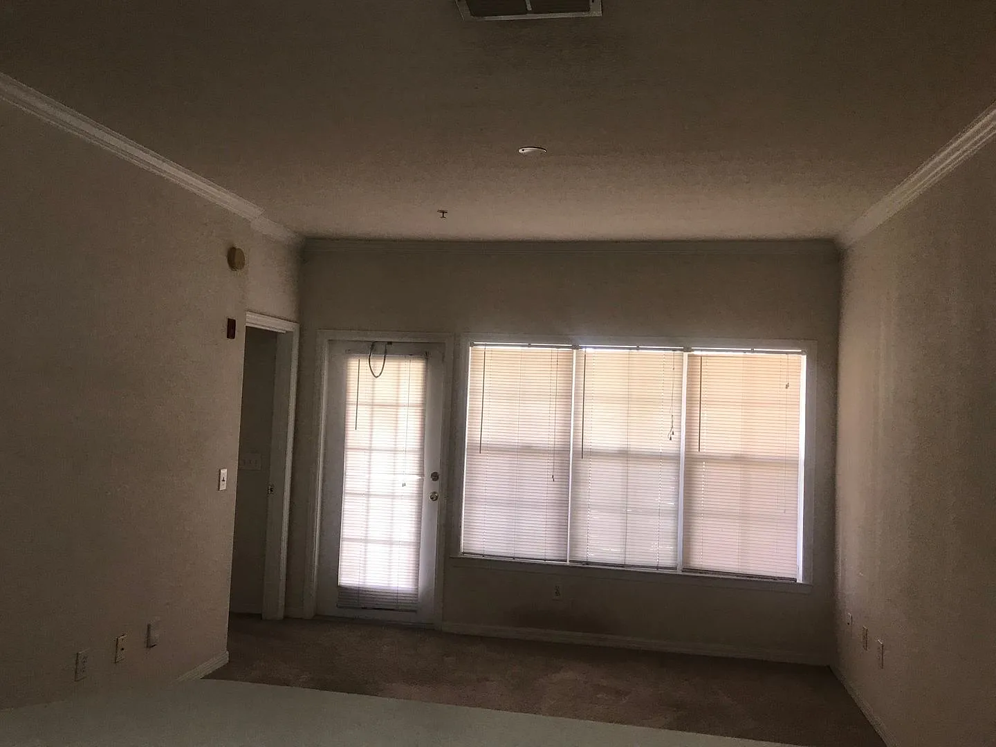 3751CR#2335(100) — Photo 2