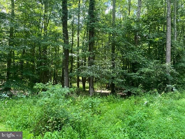 2nd image of Mattawoman Ln