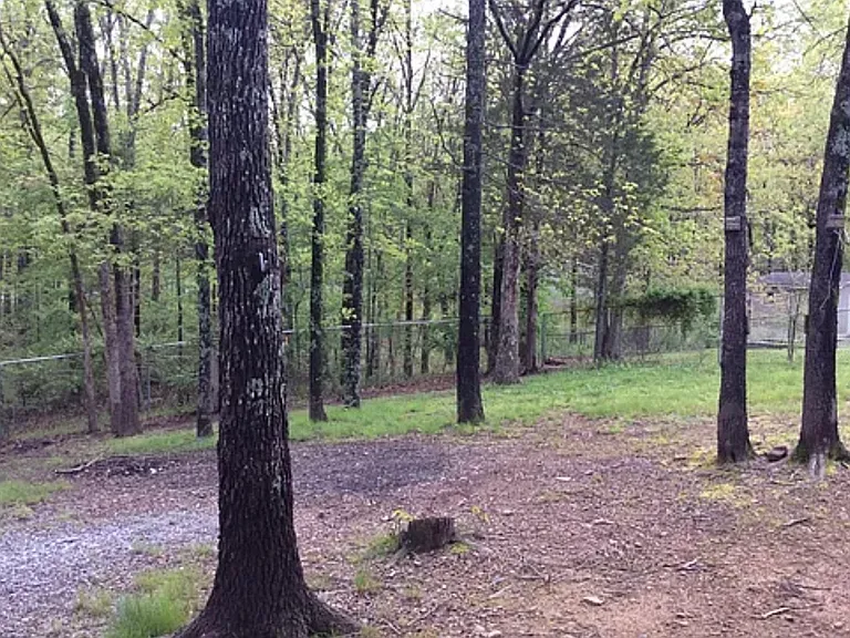223 Sunny Gap Rd #223A — Photo 7