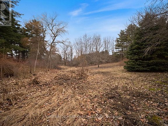 5th image of 24 Campbell Farm Rd