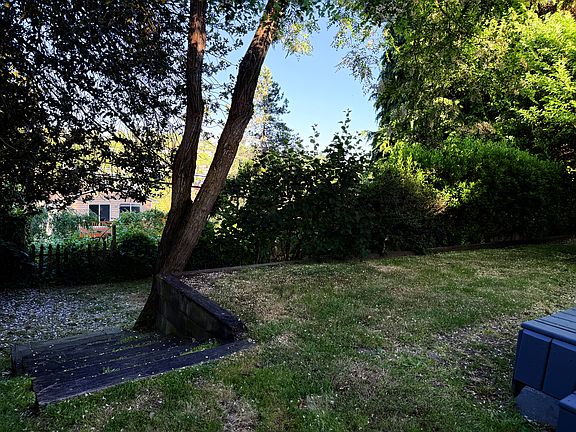 Yard looking east. Stairs lead to an apple (best for cooking) and a plumb tree.