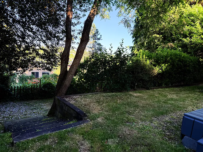 Yard looking east. Stairs lead to an apple (best for cooking) and a plumb tree.