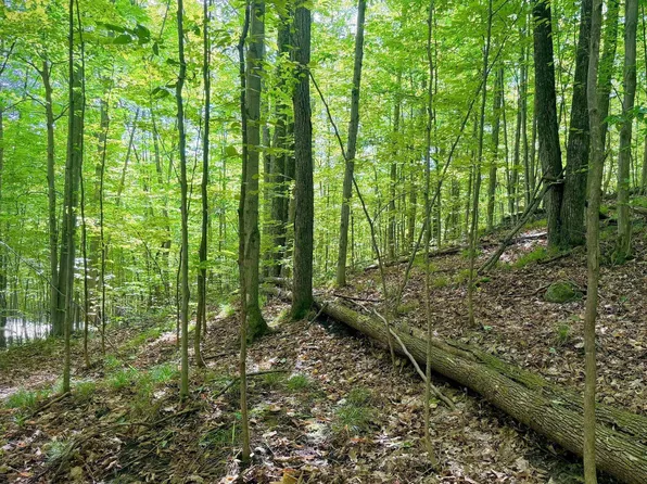 Vl Trout Run, Bellaire, MI 49615