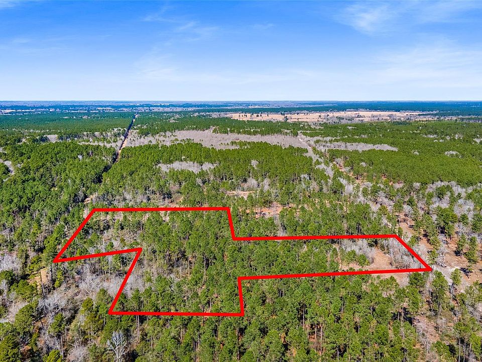 1st image of Bo Brown