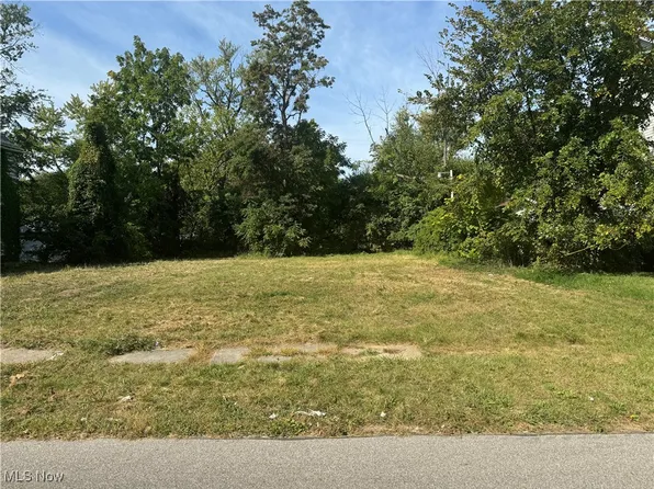 568 E 102nd St, Cleveland, OH 44108