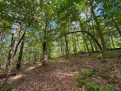 2 S Teter Creek Rd, Montrose, WV, 26283