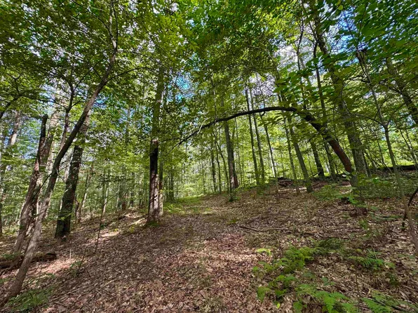 2 S Teter Creek Rd, Montrose, WV 26283