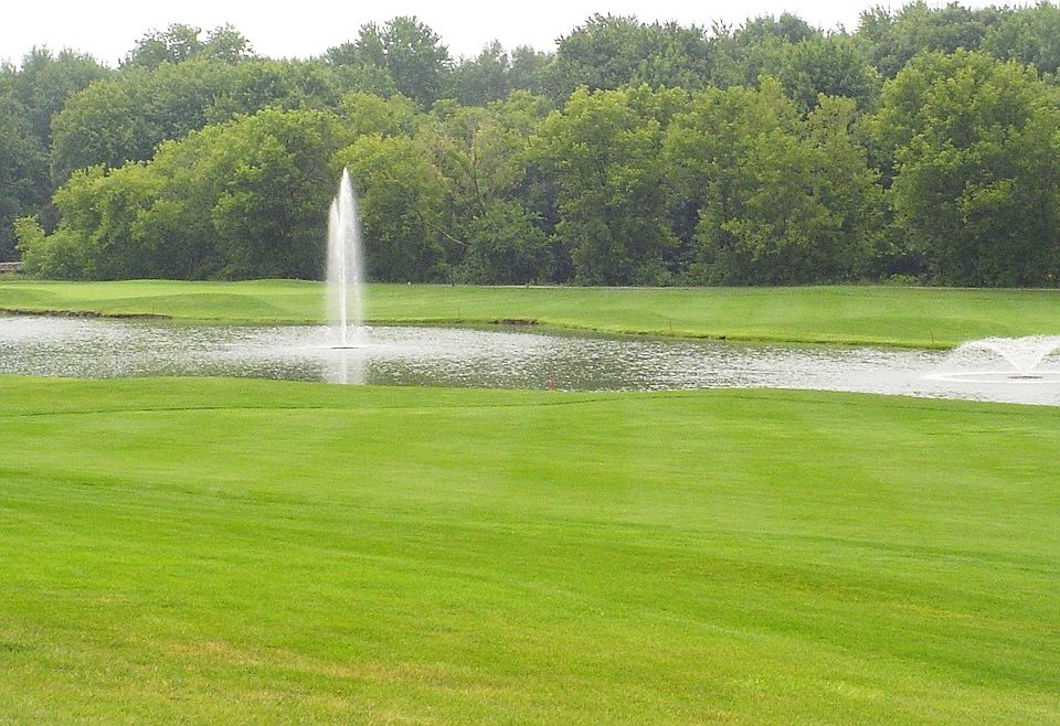 1st image of 3 Blue Heron