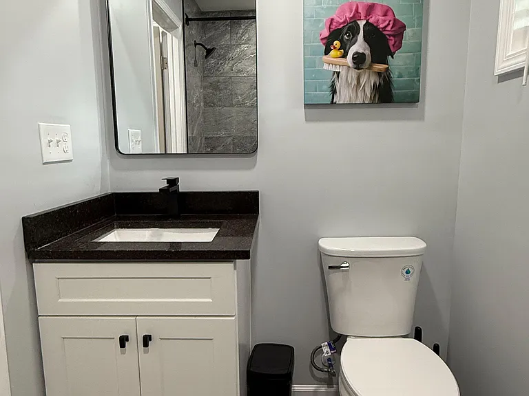 Quartz Vanity and elongated toilet