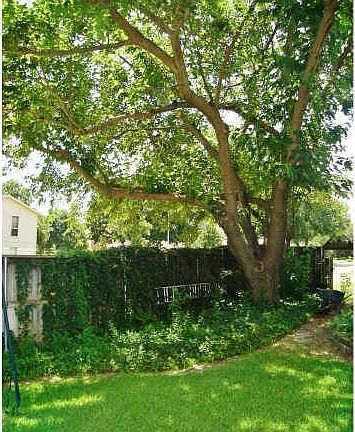 5th image of 1911 Linda Ln