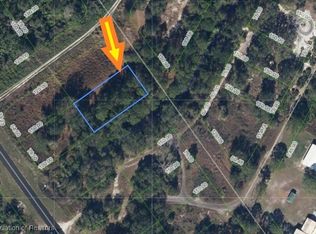 528 Bottlebrush Ave, Lake Placid, FL 33852