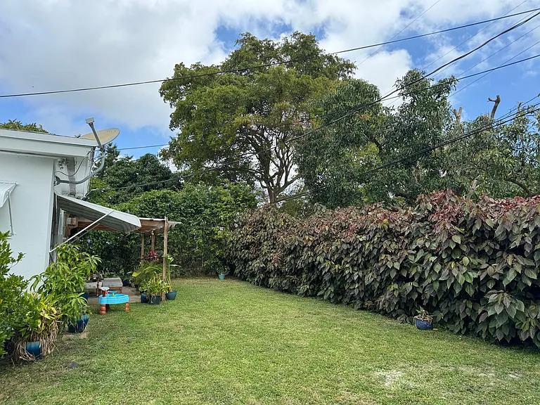 large backyard