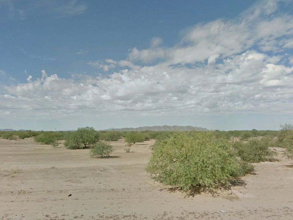 Lot view