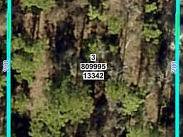 13342 Schick Ave, Brooksville, FL 34614