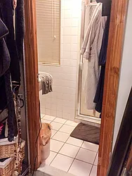 Rented by Veracity NYC LLC