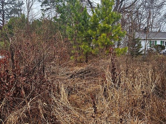 2nd image of 0 Randall Rd