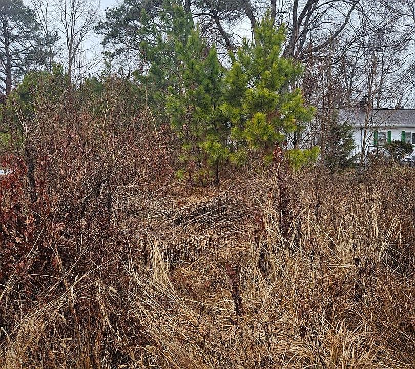 2nd image of 0 Randall Rd