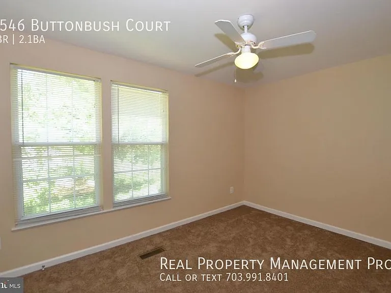 9546 Buttonbush Ct — Photo 12