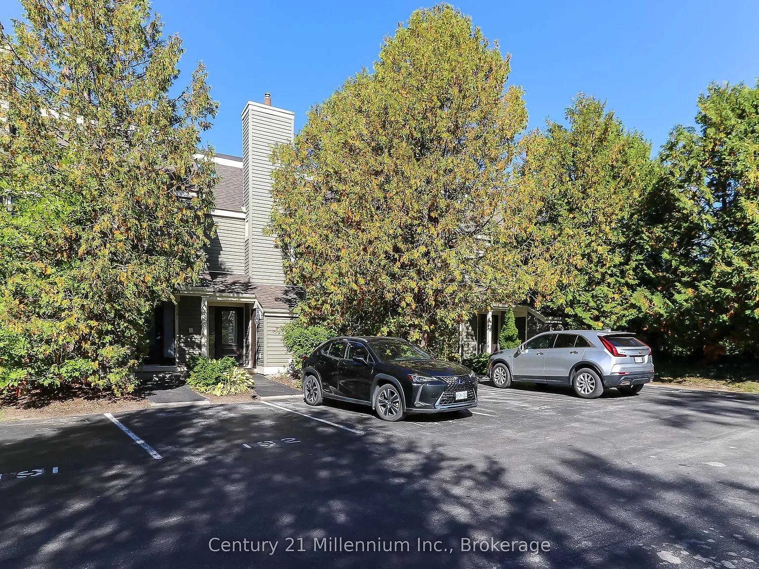 3 bed, $4,000 — Photo 1