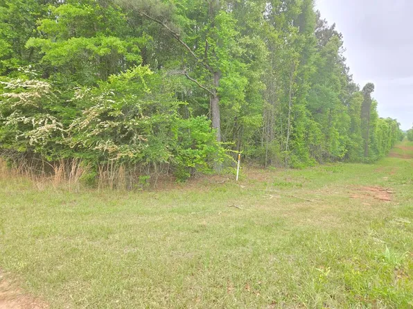 0 Oak Mountain Rd, Shiloh, GA 31826