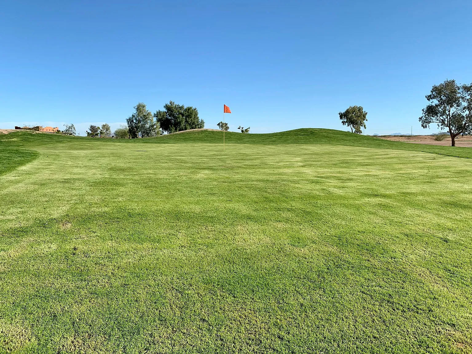 S Montgomery Rd, Casa Grande — Photo 4