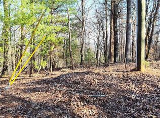 1698 Shade Tree Dr LOT 1698, Talking Rock, GA 30175