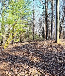 1698 Shade Tree Dr Lot 1698, Talking Rock, GA, 30175