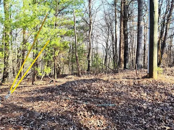 1698 Shade Tree Dr Lot 1698, Talking Rock, GA 30175