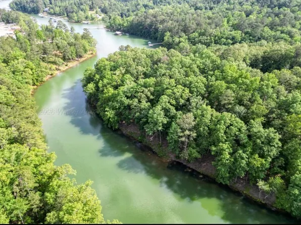 Shoreside Dr, Double Springs, AL 35553