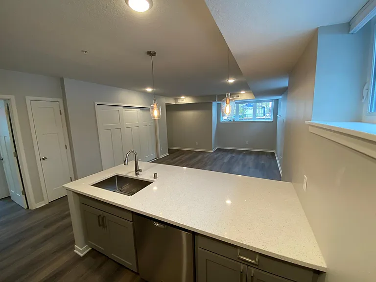 Open kitchen /living room
