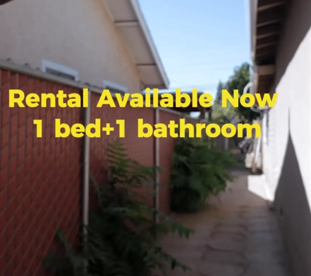 1 bed, 1250 sqft, $1,250 — Photo 1