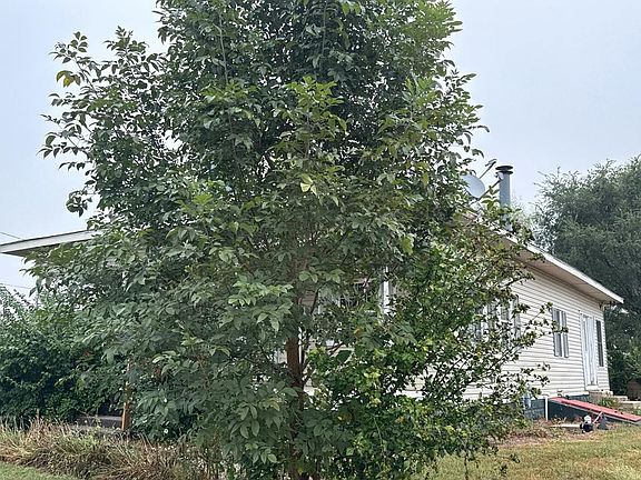 3rd image of 604 Maple St